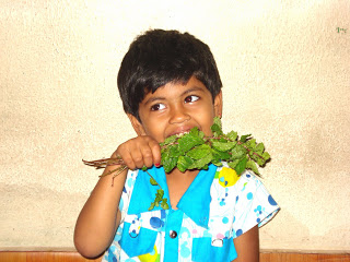 WONDER BABY KUSHI RAJ