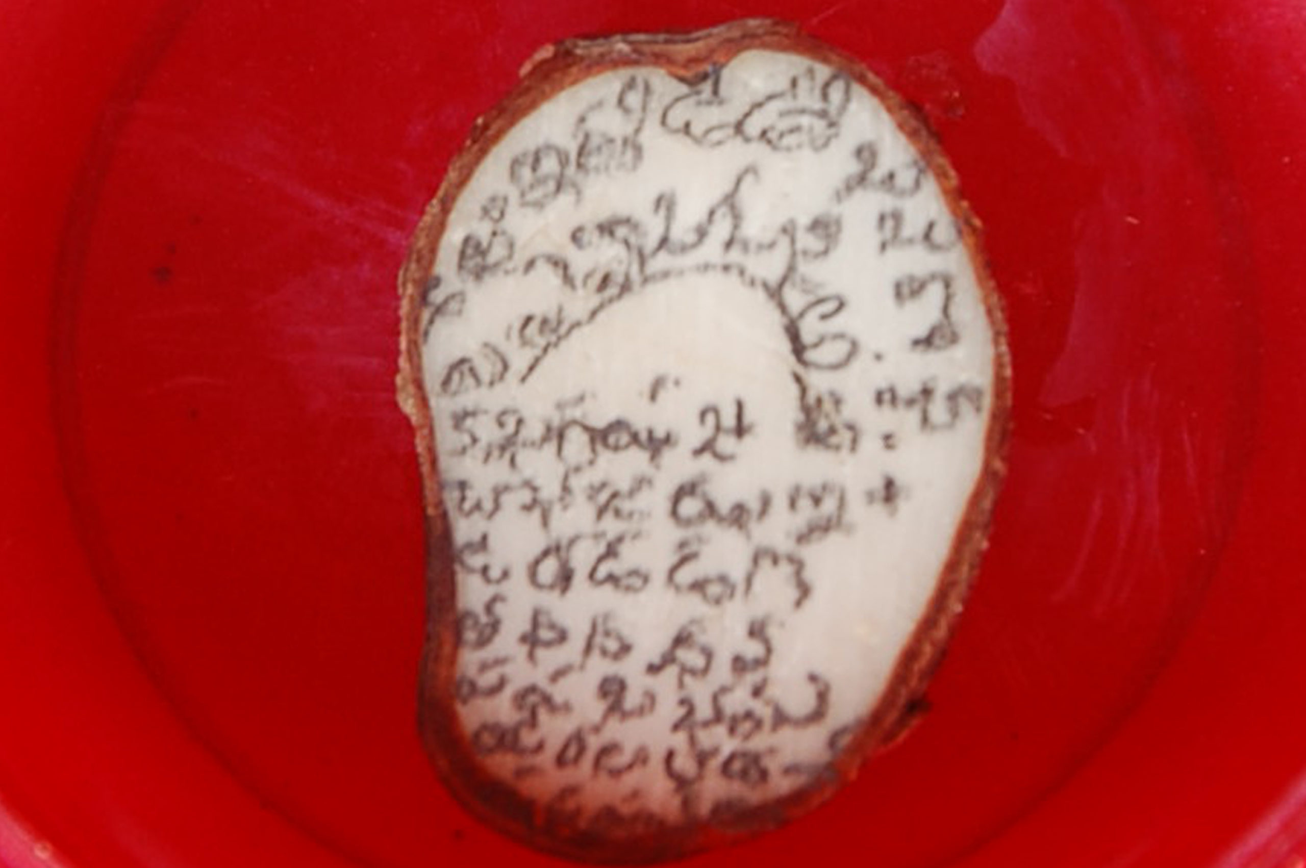 TELUGU ALPHABETS ON TAMARIND SEED