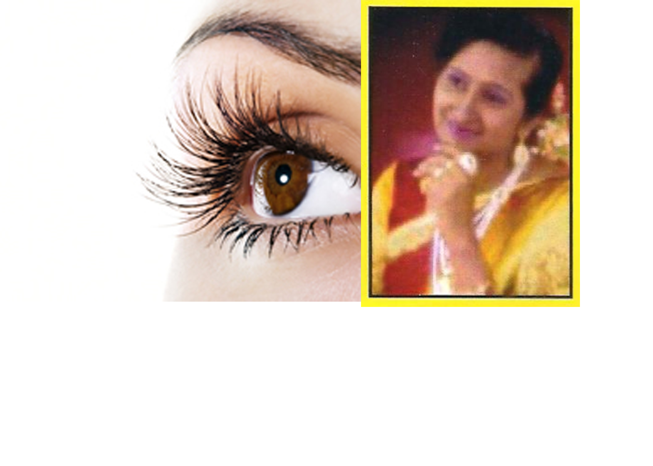 Largest Cornea  Collection by Self – కార్నియా కలెక్షన్