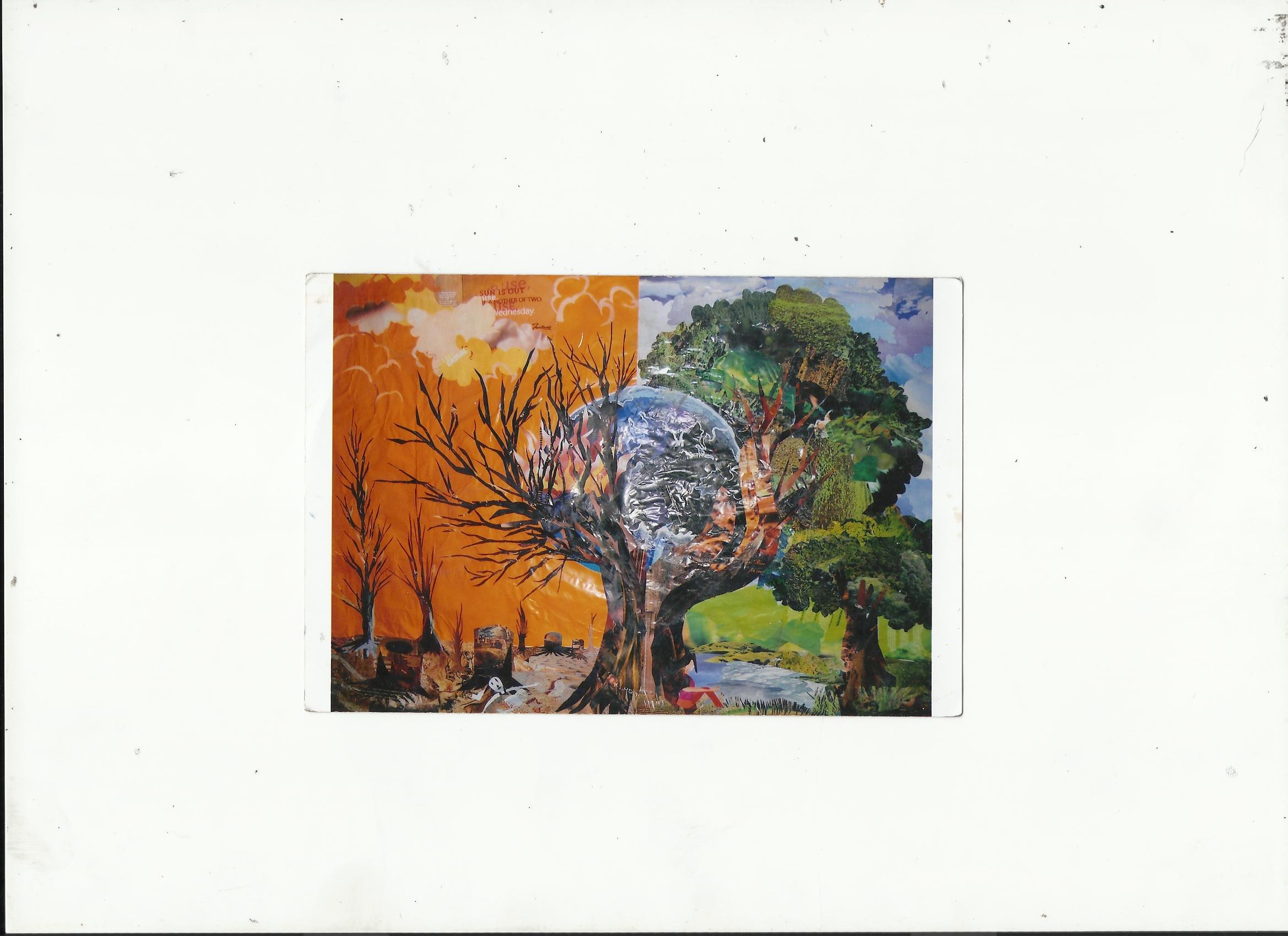 COLLAGE ART WORK FOR GLOBAL WARMING