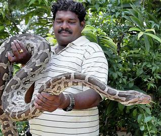 SNAKE CATCHER FINDS WAY INTO THE TELUGU BOOK OF RECORDS